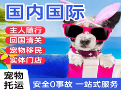 乌拉特中旗海流图航空快递国际宠物托运 【国